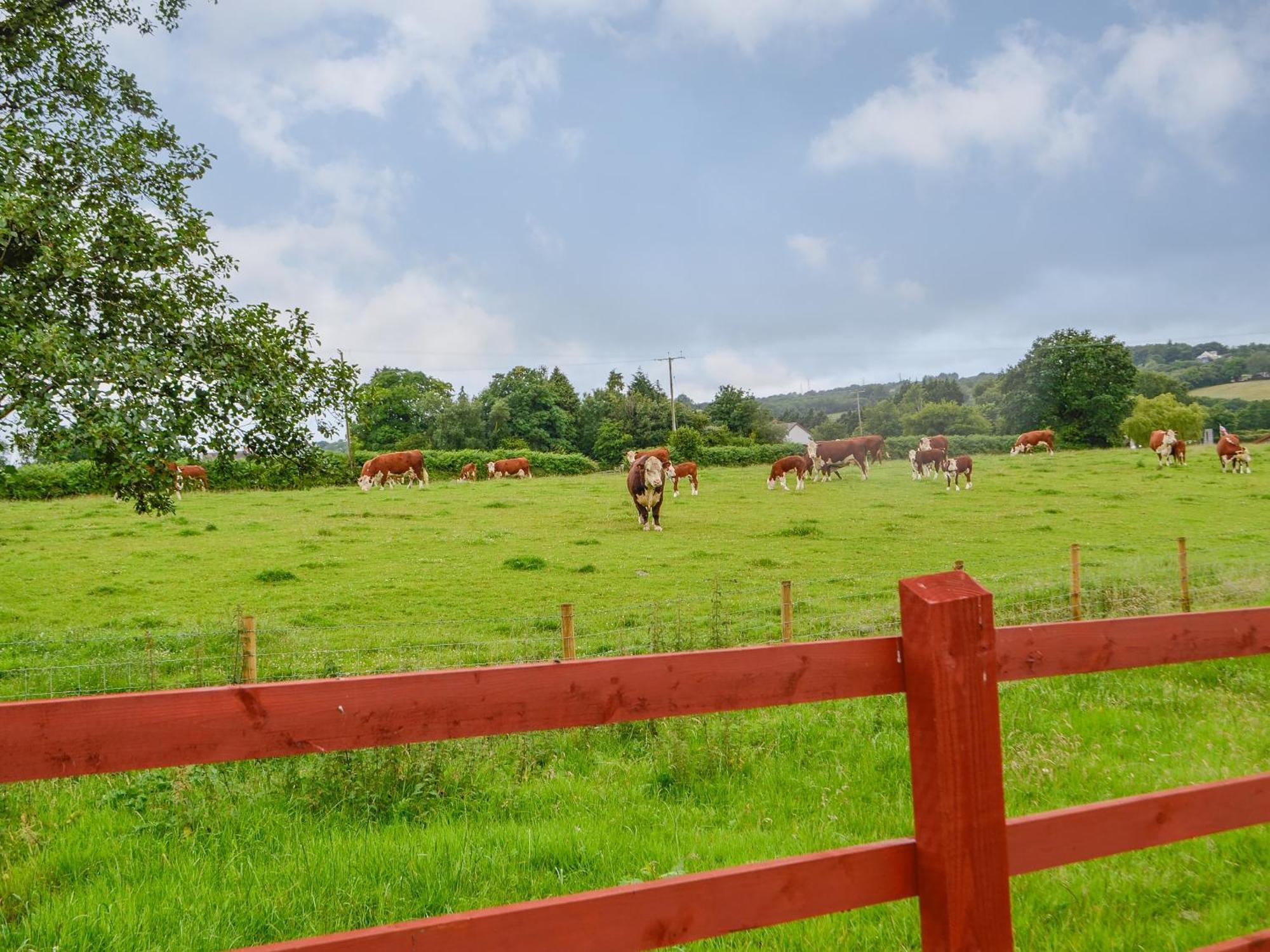 Sgubor Llwyndu Villa Betws  Exteriör bild